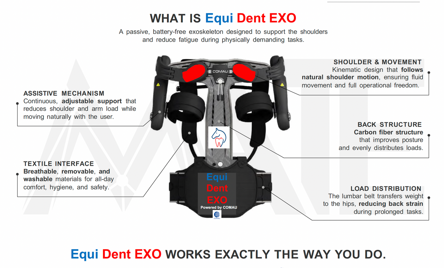 Equi Dent EXO Team